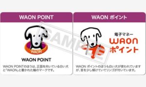 イオンカードのポイントは2種類イメージ