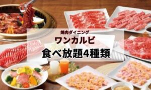 ワンカルビの食べ放題はどれが一番お得？